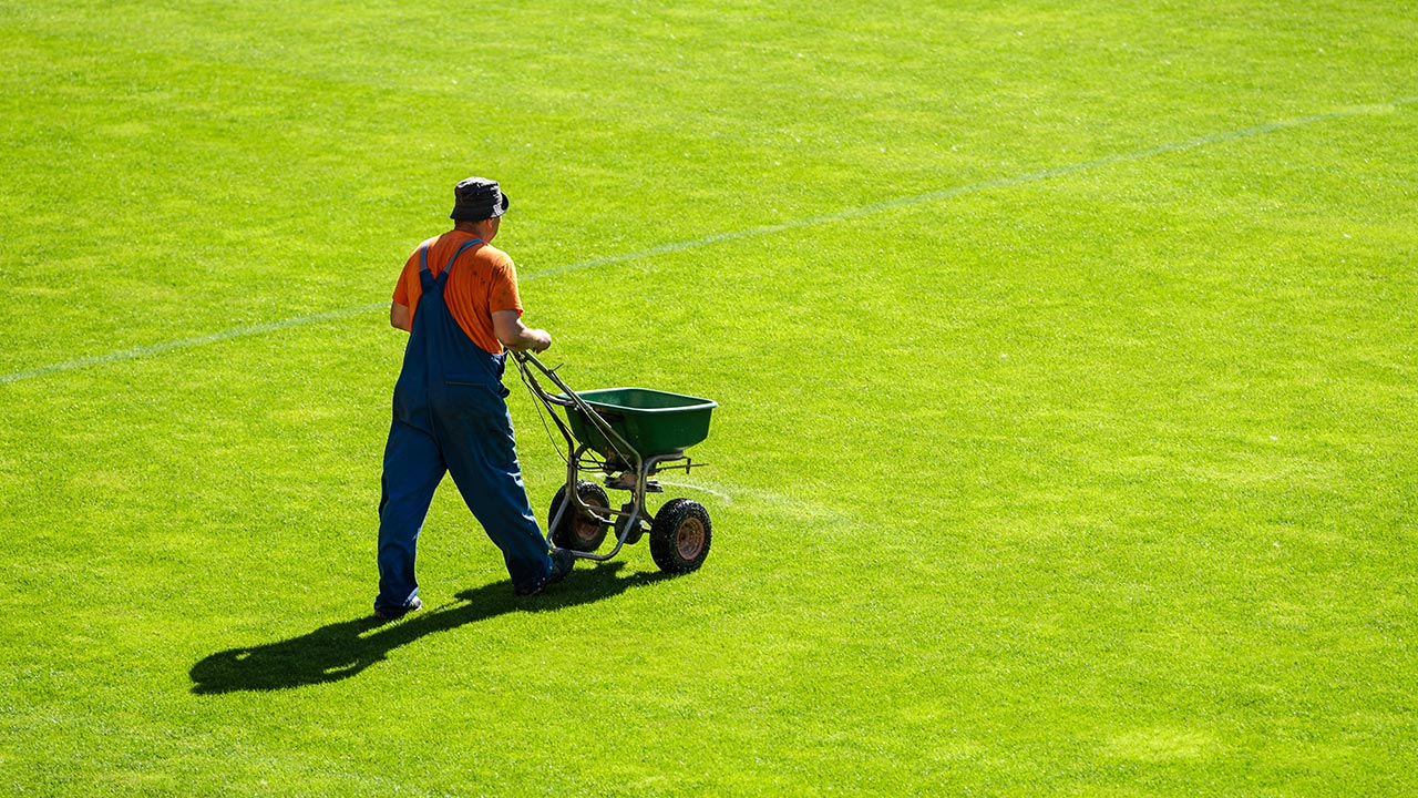 Image - StadiumADS - Digital Stadium Marketing Tool - Who we are not a good fit for - Is StadiumADS worth it - Groundsman